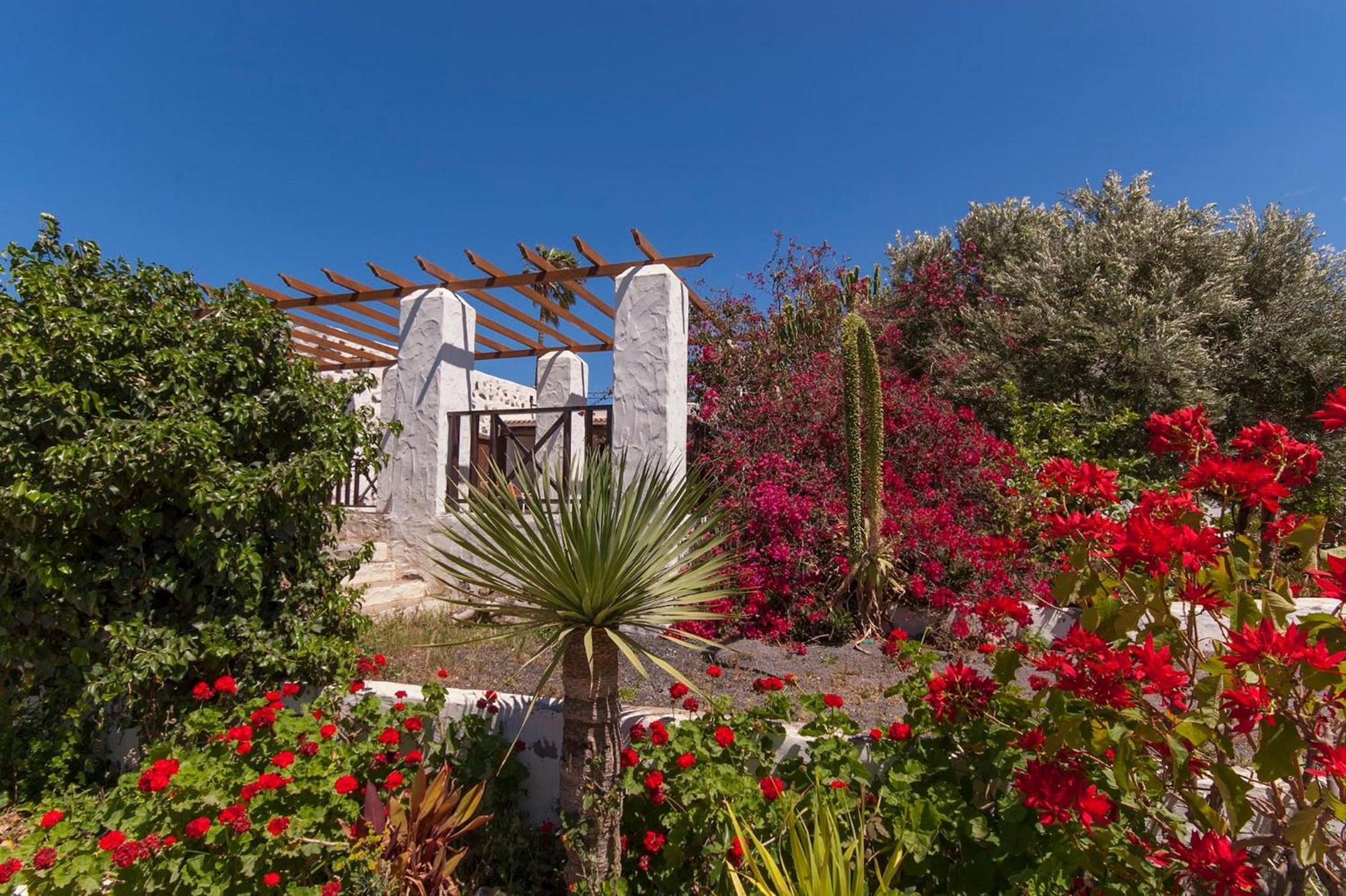 Finca El Lomo Инхенио Экстерьер фото